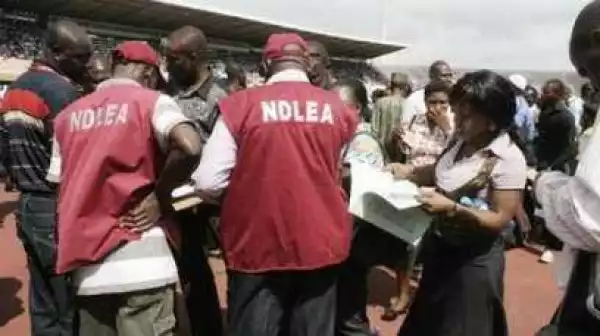 Children under 15 into illicit drugs in Gombe – NDLEA